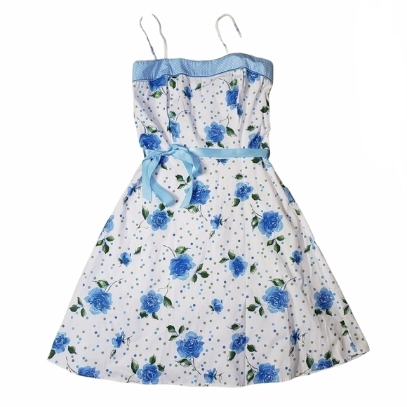 VOV Floral Garden Tea Rockabilly Retro Fit & Flare Belted Ribbon Tulle Dress - Picture 1 of 4